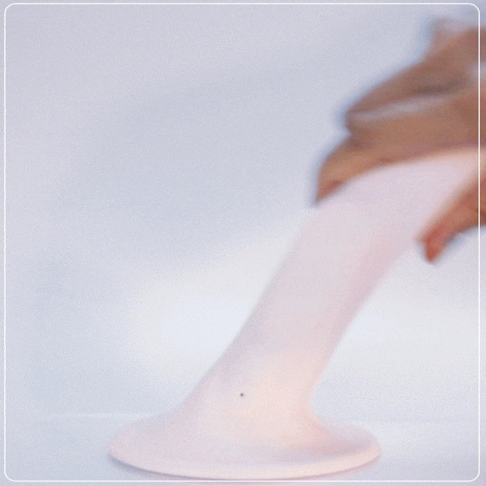 DRY WELL Dildo Vibrator Sex Toys for Women, Realistic Dildos Penis with Suction Cup, Anal Dildo with Couple Adult Sex Toys