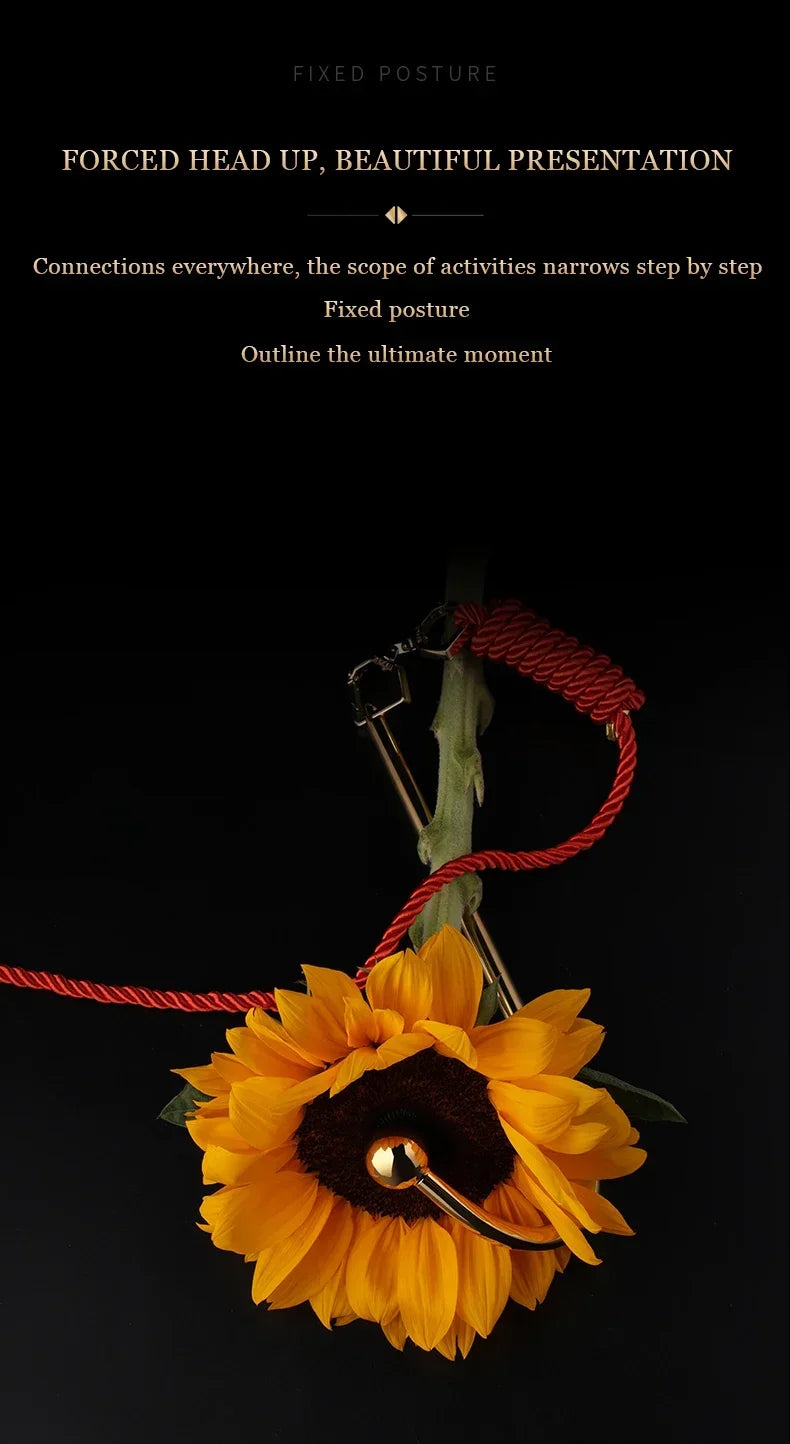 LOCKINK Metal Anal Hook Couple Adults Toys SM Posterior Anal Dilation Single Bead Adjustable Restraint Equipment for Men Women